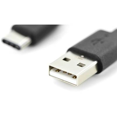 Nahaufnahme von zwei USB-Kabeltypen: eines mit USB-C-Stecker und das andere mit USB-A-Stecker, beide in schwarzer Ummantelung.