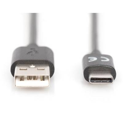 Zwei Kabelanschlüsse: Links ein USB-A-Stecker, rechts ein USB-C-Stecker. Beide sind schwarze Kabelenden auf weißem Hintergrund.