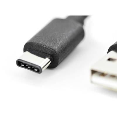 Nahaufnahme eines USB-C-Steckers und eines USB-A-Steckers auf weißem Hintergrund.
