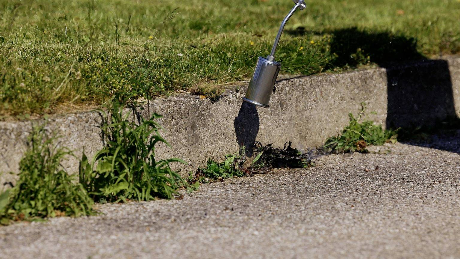 Eine Hand gießt kochendes Wasser aus einer Metallkanne auf Unkraut am Straßenrand, um es zu entfernen. Gras wächst im Hintergrund.