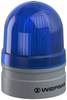 Werma Signaltechnik Signalleuchte Mini TwinLIGHT 24VAC/DC BU 260.510.75 Blau 24 V/DC
