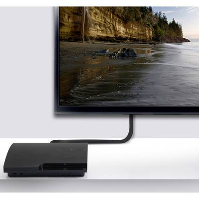 SpeaKa Professional HDMI Anschlusskabel HDMI-A Stecker, HDMI-A Stecker 10.00 m Schwarz SP-8596844 4K UHD, Audio Return C-4