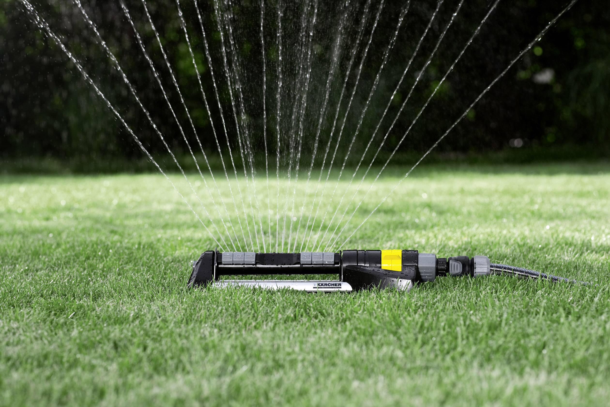 Ein Rasensprenger bewässert gleichmäßig einen grünen Rasen in einem Garten. Wassertropfen sprühen in einem Bogen über das Gras.