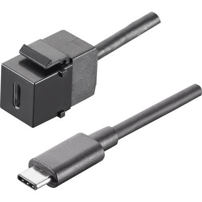 BACHMANN Keystone USB 3.1 Kupplung Typ C, Buchse/Stecker, 0,5 m-0