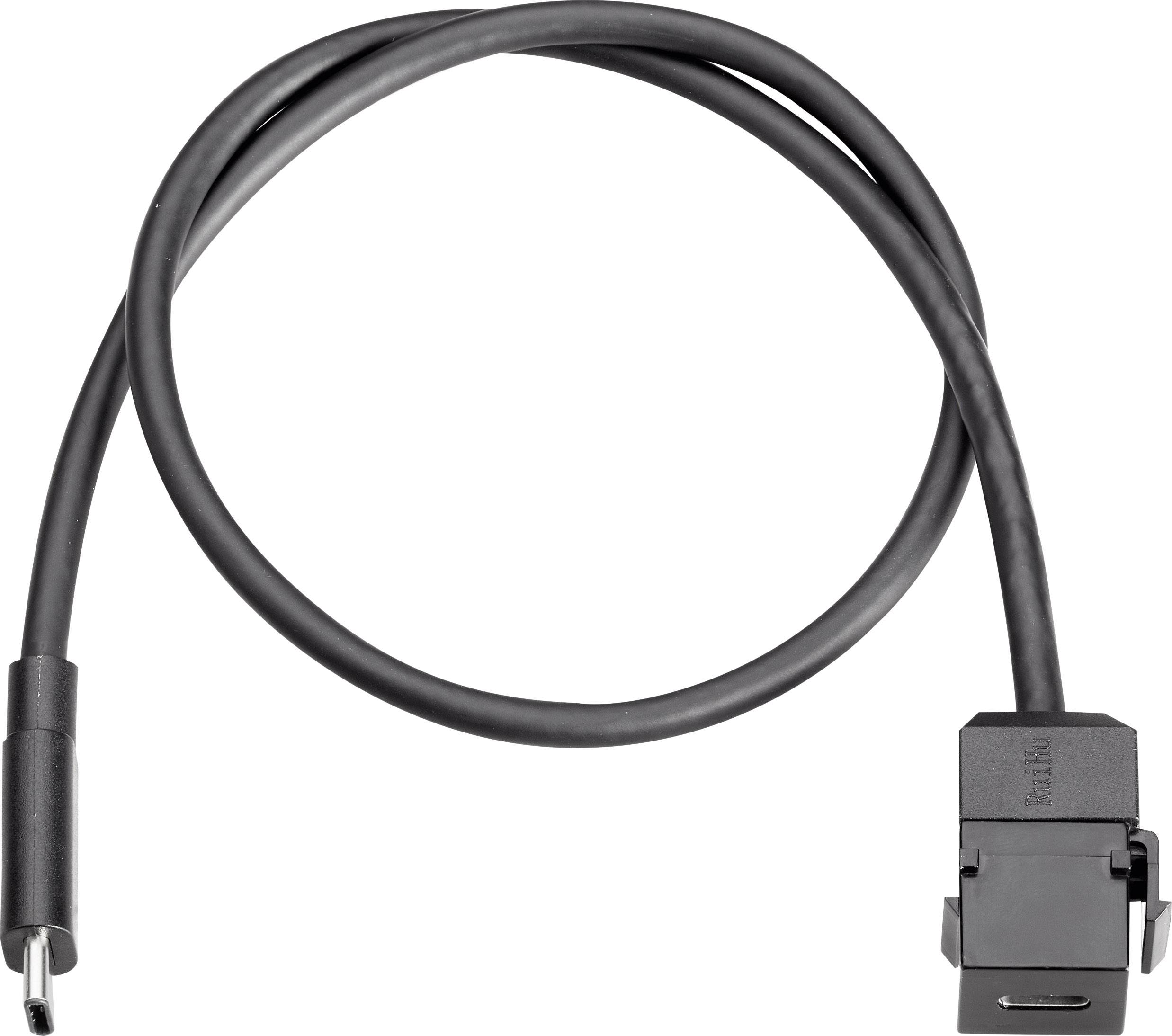 BACHMANN Keystone USB 3.1 Kupplung Typ C, Buchse/Stecker, 0,5 m-1