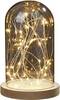 Hellum 523713 Dekoleuchte LED Warmweiß Transparent, Holz