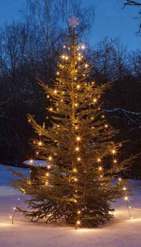 Hellum LED-Lichterkette 577907