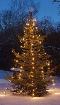 Hellum LED-Lichterkette 577907