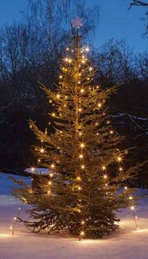 Hellum LED-Lichterkette 577907