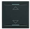 Legrand Wippe Axolute Anthrazit HS4911/2AH 1 St.