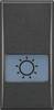 LEGR BTicino Bticino HS4921LA Symbolwippe Lampe Ant HS4921LA