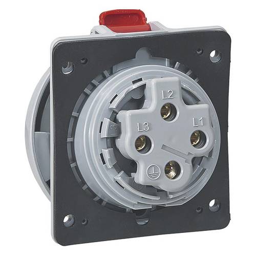 Legrand 555488 555488 CEE Anbaudose 32 A 4polig 250 V/AC 1 St.