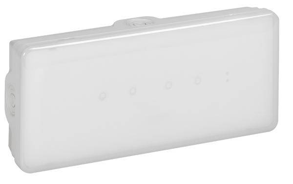 Legrand 661440 B65 100lm 3h Standard Einzelbatterieleuchte IP65-0