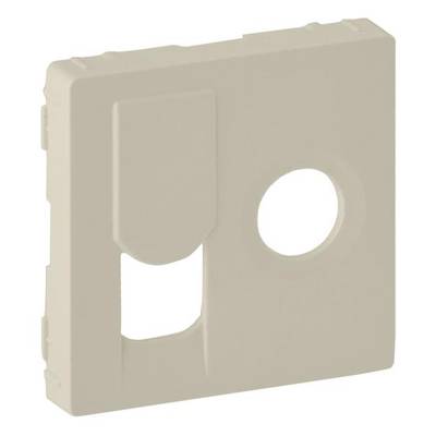 Beige Abdeckplatte mit einer runden und einer rechteckigen Aussparung, vermutlich für Steckdosen oder Netzwerkanschlüsse.