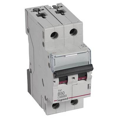 Ein zweipoliger Schutzschalter von Legrand, Modell TX3 B50, mit grauem Gehäuse und schwarzem Kippschalter.