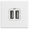 Legrand USB-Steckdose Axolute Weiß HD4286C2 1 St.