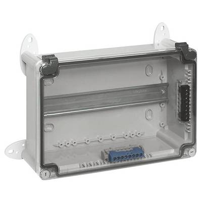 Elektronikkasten mit durchsichtigem Deckel und Befestigungslaschen. Innen sind Klemmen und eine Montageschiene sichtbar.