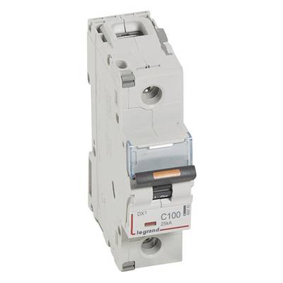 Ein grauer Schutzschalter mit schwarzem Kippschalter und rotem Aufdruck 'legrand C100 25kA'.
