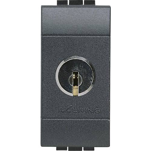 Legrand Installationsschalter Living&Light Anthrazit L4022C 1 St.