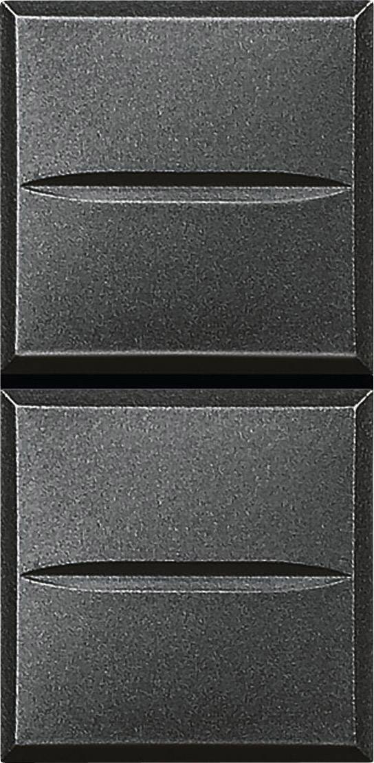 Taster Axolute Anthrazit HS4036 1 St.