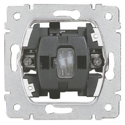 Lichtschalter-Einsatz ohne Abdeckung, zentral montiert, geeignet für Hauselektrik, hervorgehoben durch Metallrahmen und Schraubpunkte.