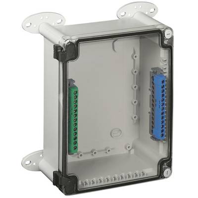 Elektronisches Gehäuse mit durchsichtigem Deckel und seitlich angebrachten farbcodierten Anschlussplatten.