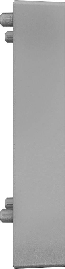 Ein schmaler grauer Metallbalken mit abgerundeten Enden und vier hervorstehenden zylindrischen Verbindungen an einer Seite.