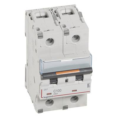 Zweipoliger Leistungsschalter von Legrand, Modell C100 25kA, in Grautönen. Verwendet zur elektrischen Sicherung.