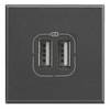LEGR USB-Lademodul 2-fach HS4285C2 Anthrazit