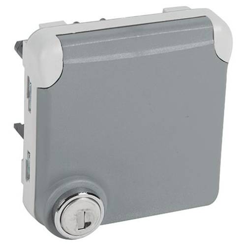 Legrand Steckdose Plexo Grau 069574 1 St.