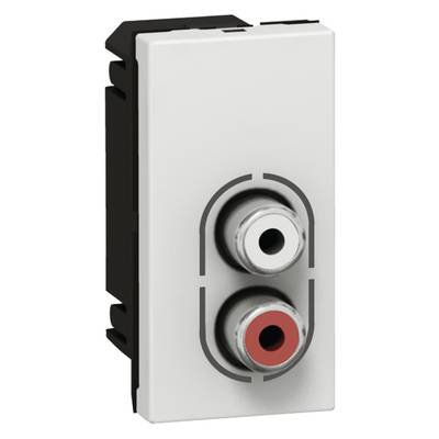 Zwei RCA-Buchsen auf einem rechteckigen Modul, eine rot und eine weiß, für Audiokabelverbindungen.