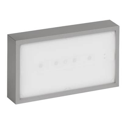 Rechteckige Leuchte mit grauem Rahmen, flachem Design und diffuser Lichtabdeckung, geeignet für moderne Raumbeleuchtung.