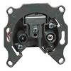 Legrand TV-, Radio-Steckdose Galea / Pro21 775984 1 St.