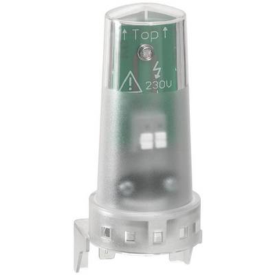 Kleine grüne und silberne Glimmlampe für 230V mit Warnsymbolen für Elektroteile.