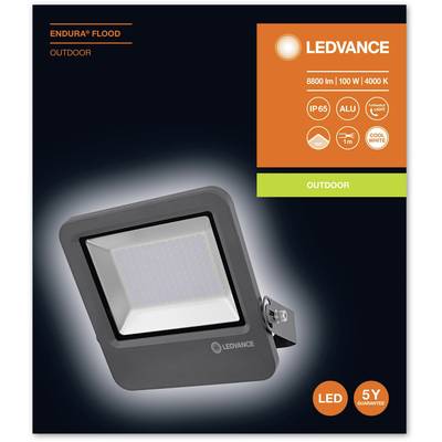 Flutlichtstrahler von LEDVANCE für den Außenbereich, 100 W, 4000 K, IP65, 5 Jahre Garantie, in kühlem Weiß.