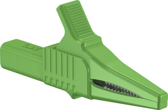 Grüner Krokodilklemme-Stecker mit gezahnter Metallspitze. 잡다