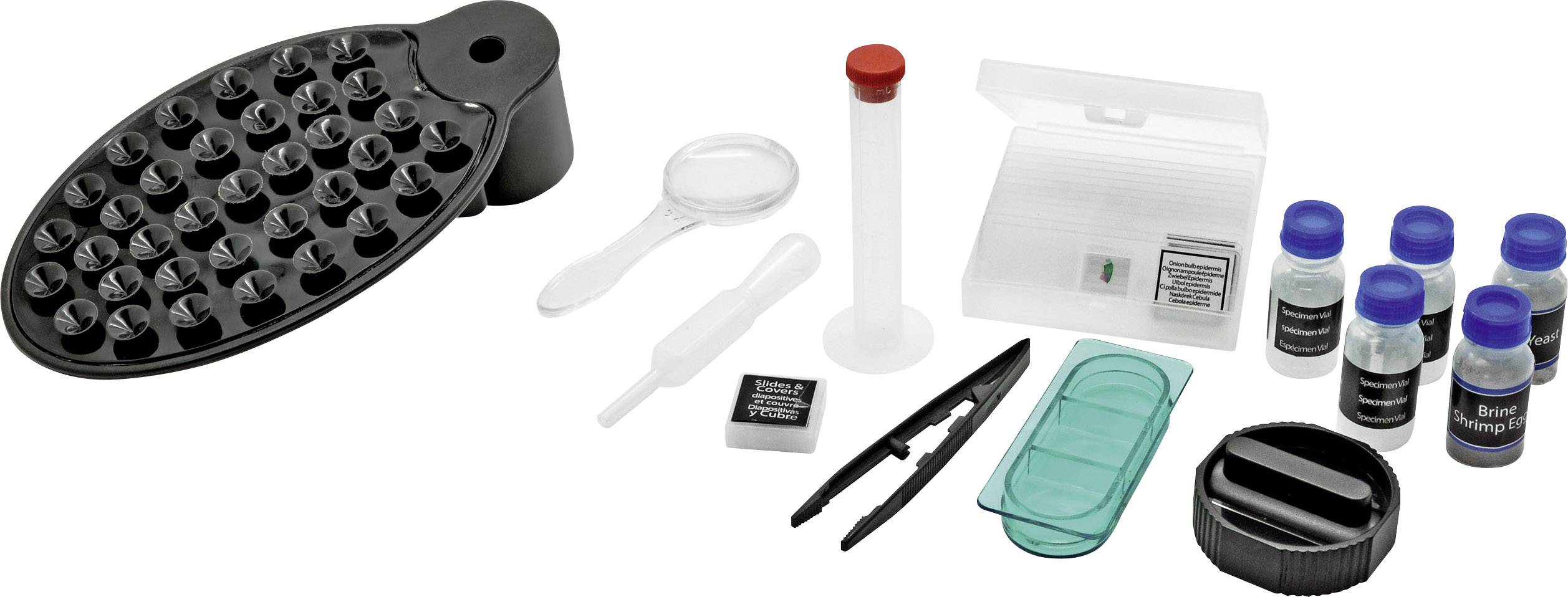 Mikroskop-Zubehörset mit Objektträgern, Pipette, Pinzette, Objektträgerbehältnis, Behältern für Proben und Lupe; für wissenschaftliche Experimente.