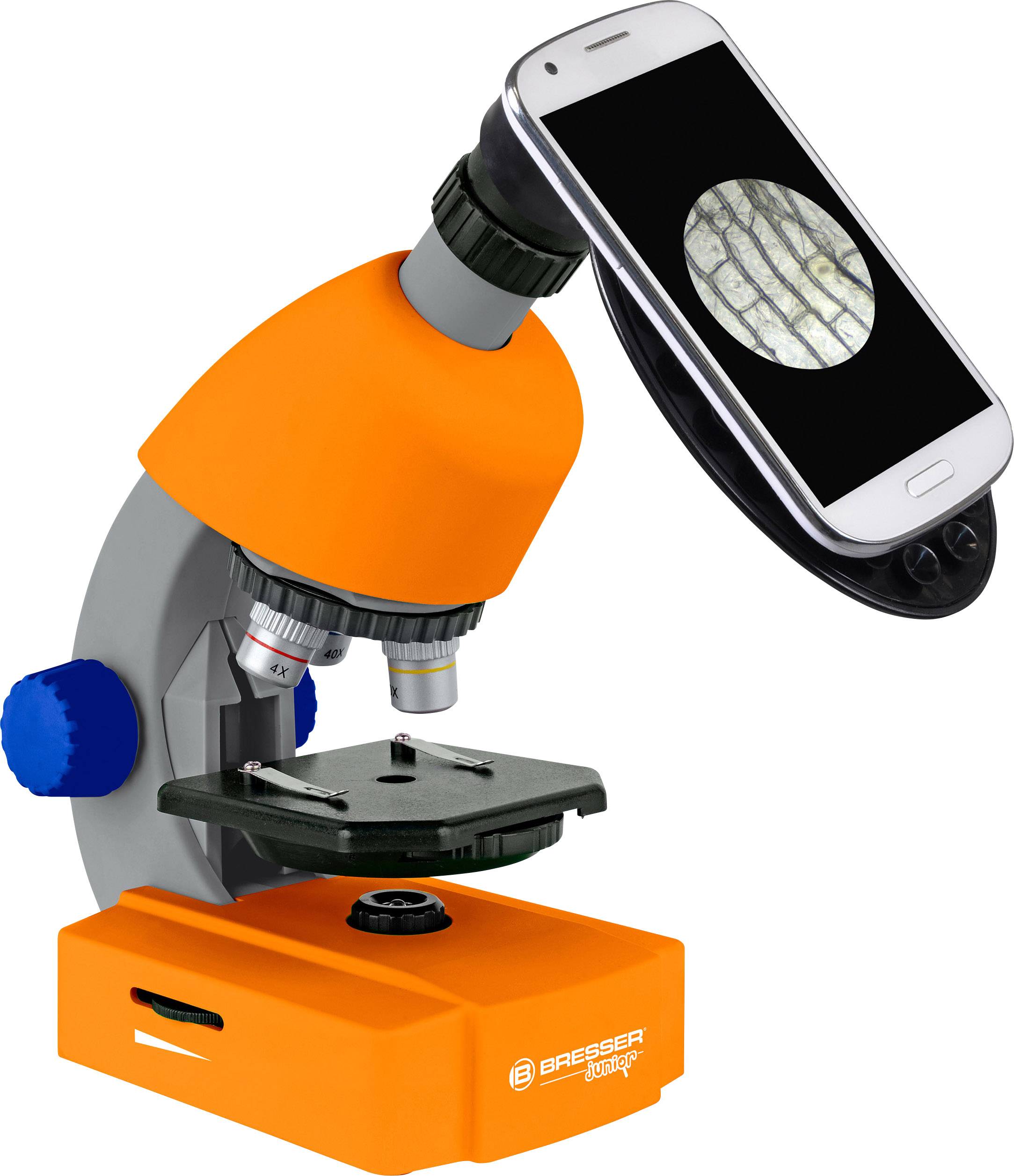 Mikroskop mit Smartphone-Halterung zeigt vergrößerte Zellstruktur auf dem Bildschirm. Ideal für die Betrachtung biologischer Proben.