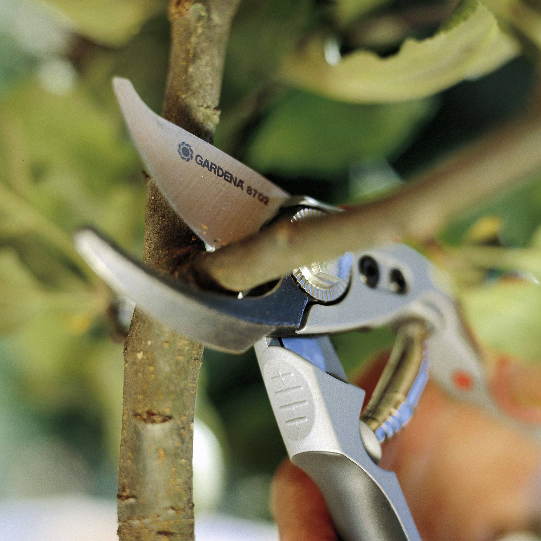 Eine Hand hält eine Astschere und schneidet einen kleinen Ast.