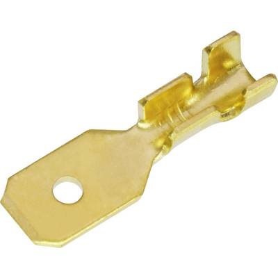 Goldener Metallflachstecker mit Loch und Crimpmuster, verwendet für elektrische Verbindungen, isolationslos und flachgeformt.