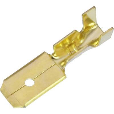 Goldbeschichteter Metallkontakt für elektrische Verbindungen, mit einem Loch für Schraubmontage.