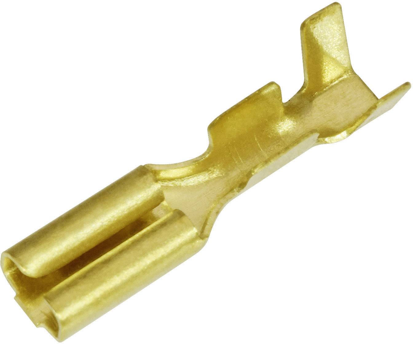 Goldener, flacher Steckverbinder aus Metall mit zwei länglichen Öffnungen. Verwendet für elektrische Verbindungen in Autos oder Geräten.