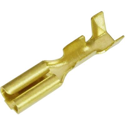 Goldener, flacher Steckverbinder aus Metall mit zwei länglichen Öffnungen. Verwendet für elektrische Verbindungen in Autos oder Geräten.