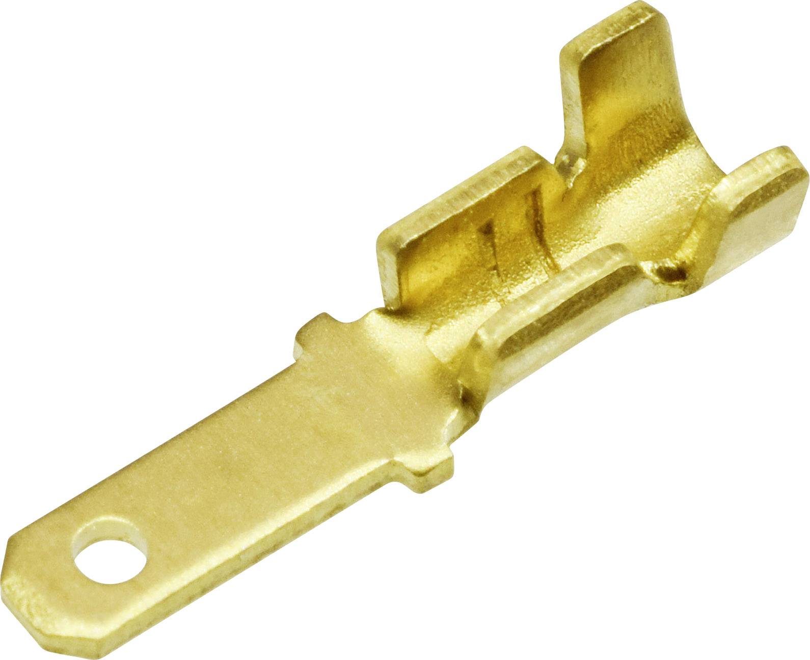Ein goldener elektrischer Steckkontakt mit länglichem Befestigungsloch und geformtem Ende zur Verbindung in elektrischen Anwendungen.