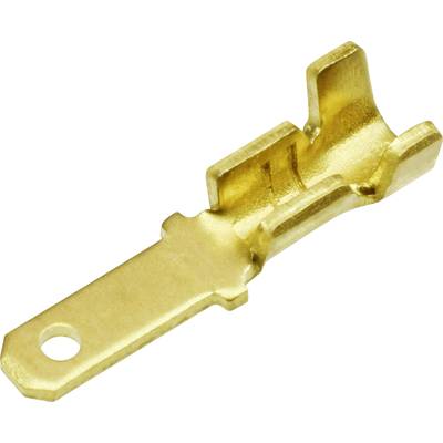 Ein goldener elektrischer Steckkontakt mit länglichem Befestigungsloch und geformtem Ende zur Verbindung in elektrischen Anwendungen.