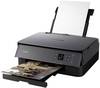 Canon PIXMA TS5350 - Multifunktionsdrucker - Farbe - Tintenstrahl - A4 (210 x 297 mm)