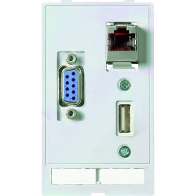 Ein Wandanschlussfeld mit einem VGA-Anschluss (blau), einem RJ45-Netzwerkanschluss (oben) und einem USB-Anschluss (unten).