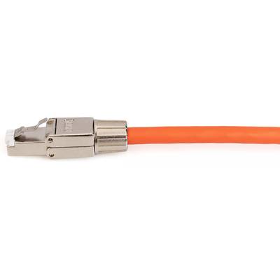 Ein oranges Netzwerkkabel mit einem metallischen RJ45-Stecker rechts dargestellt.