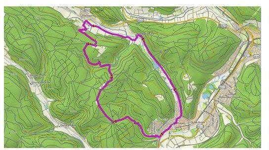 Topografische Karte mit rosa hervorgehobener Laufstrecke durch hügeliges und bewaldetes Gelände, verbunden mit Straßen und Wegen.
