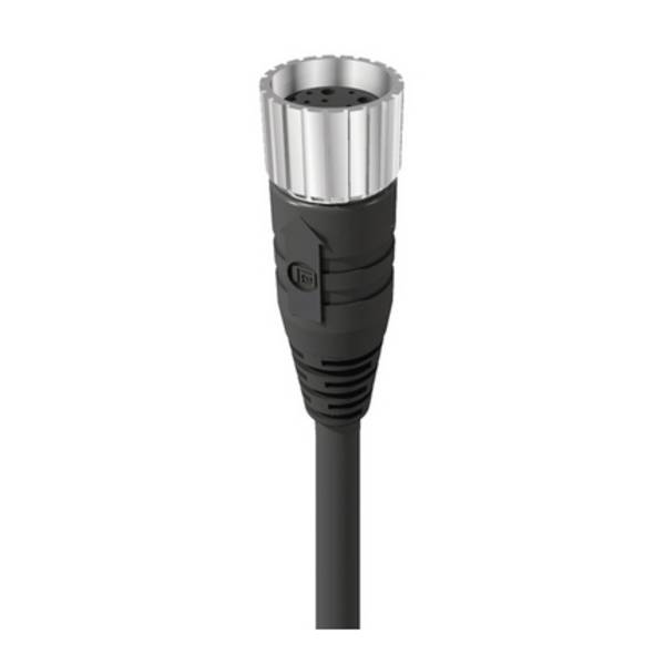 Lumberg Automation 19656 Sensor-/Aktor-Steckverbinder, konfektioniert M23 Kupplung, gewinkelt 3.00 m Polzahl Sensoren: 19 1 St.